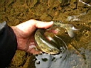 2007-05-10 021.JPG